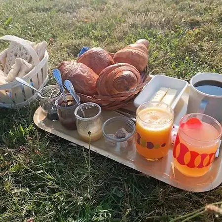 Caravane Vintage Insolite Avec Jacuzzi Au Calme Camping *