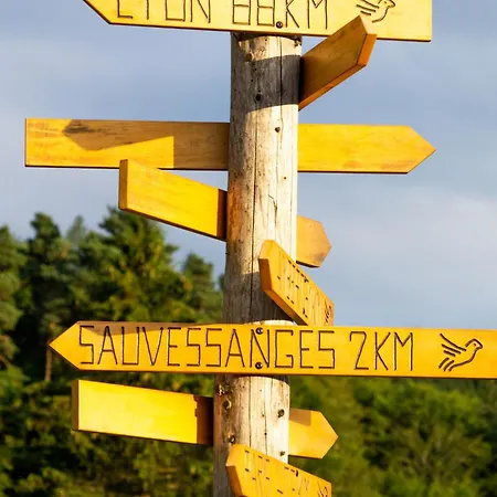 Camping Caravane Vintage Insolite Avec Jacuzzi Au Calme *
